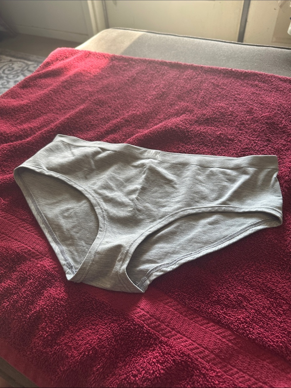 NWOT PINK Victoria's Secret Gray Cotton Bikini Panty